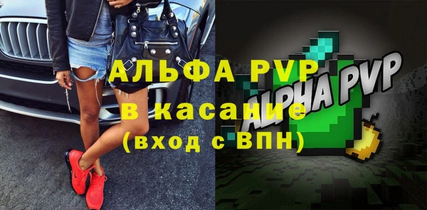 стафф Корсаков