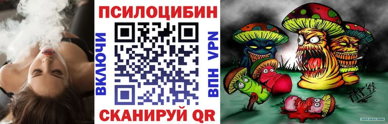 Псилоцибиновые грибы прущие грибы  Красный Холм 